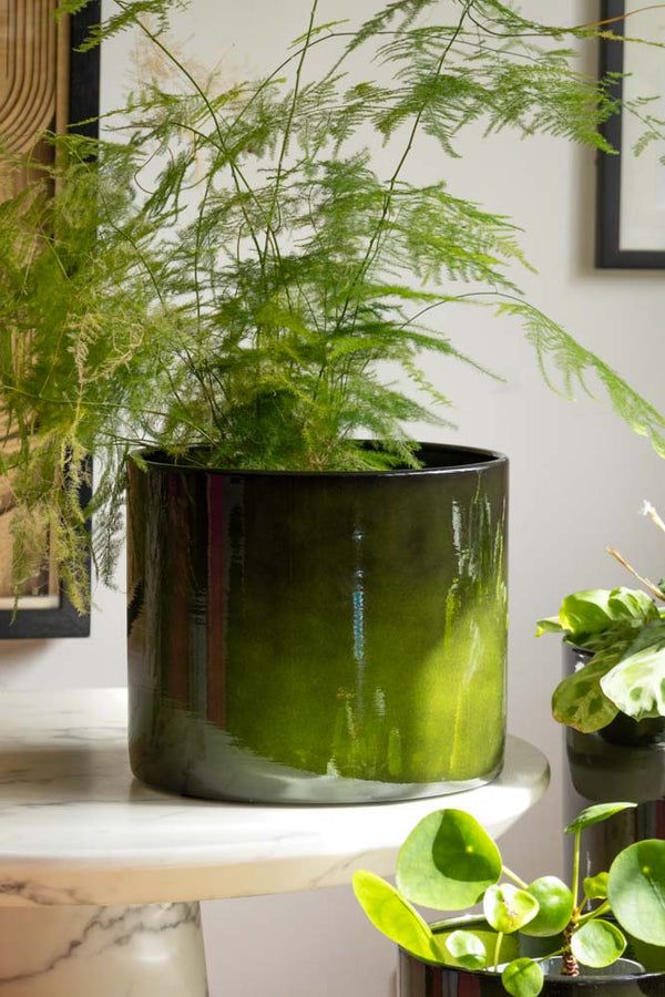 Glass Vase